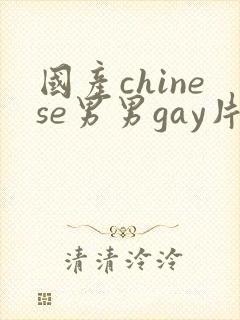 国产chinese男男gay片封面