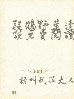 段鹤野叶清璃小说免费阅读最新章节封面