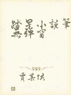 踏星小说笔趣阁无弹窗封面