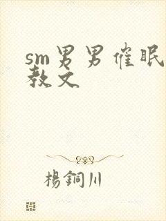 sm男男催眠调教文封面