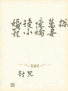 婚后亿万总裁独宠小娇妻