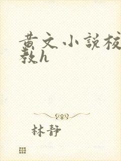 黄文小说校园调教h封面