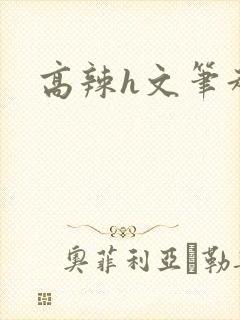 高辣h文笔趣阁