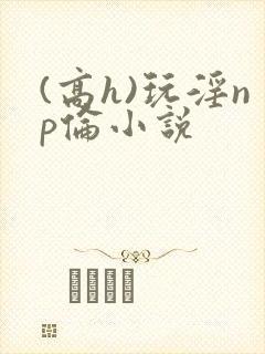 (高h)玩淫np伦小说