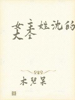 女主姓沈的小说大全