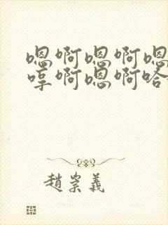 嗯啊嗯啊嗯啊嗯哼啊嗯啊哈啊嗯封面