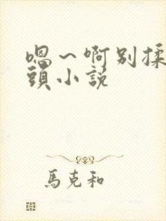 嗯～啊别揉我奶头小说封面