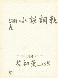 sm小说调教高h