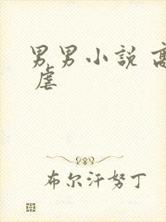 男男小说 高h 虐