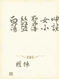 白丝圣女呻吟浪荡堕落小说