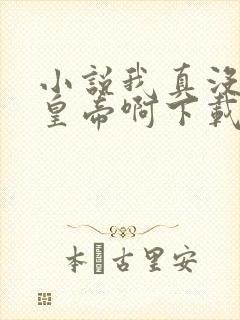 小说我真没想当皇帝啊下载