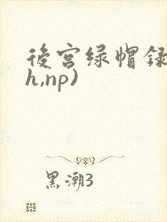 后宫绿帽录(高h,np)