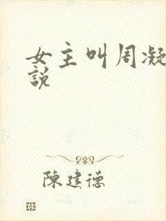 女主叫周凝的小说