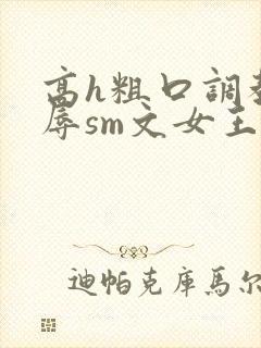 高h粗口调教羞辱sm文女王