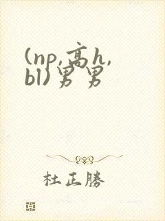 (np,高h,bl)男男