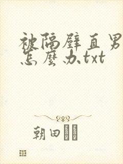 被隔壁直男看上怎么办txt封面