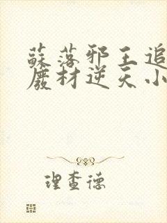 苏落邪王追妻:废材逆天小姐