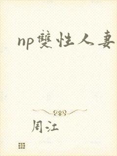 np双性人妻封面