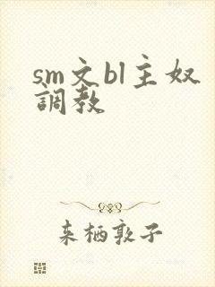 sm文bl主奴调教封面
