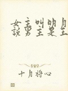 女主叫明月的小说男主是王爷封面