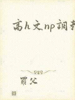 高h文np调教