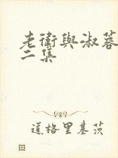 老卫与淑蓉2第二集封面