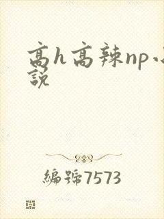 高h高辣np小说