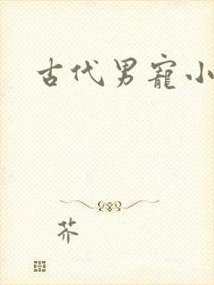 古代男宠小说封面