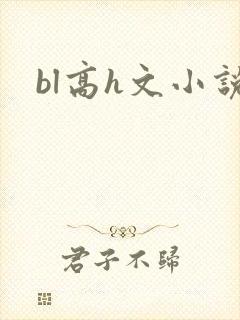 bl高h文小说