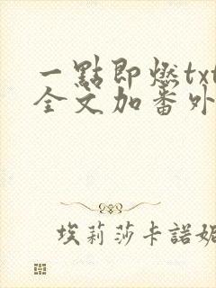 一点即燃txt全文加番外封面