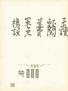 杨军叶轻柔的小说免费阅读无弹窗