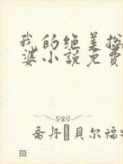 我的绝美总裁老婆小说免费阅读全文