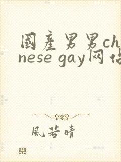 国产男男chinese gay网站