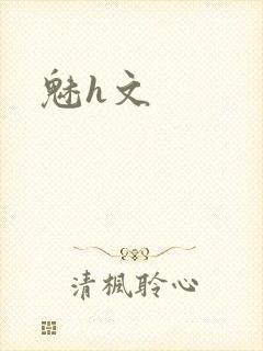 魅h文