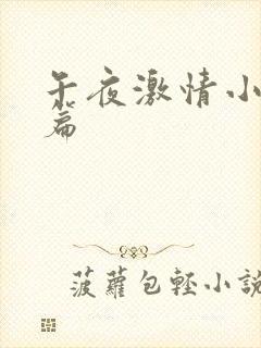 午夜激情小说短篇
