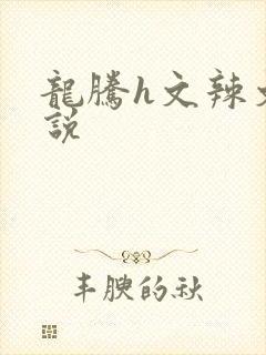 龙腾h文辣文小说封面
