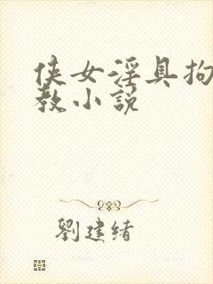 侠女淫具拘束调教小说封面