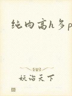纯肉高h多p