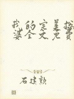 我的完美总裁老婆全文免费阅读