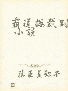 霸道总裁别太坏 小说