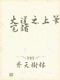 大道之上笔趣阁宅猪