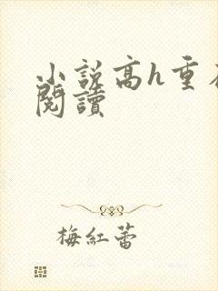 小说高h重在线阅读封面