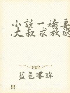 小说一娇妻在上,大叔求放过