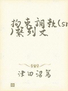 拘束调教(sm)系列文封面