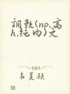 调教(np,高h,纯肉)文