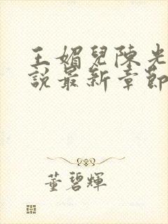 王媚儿陈光达小说最新章节更新时间封面