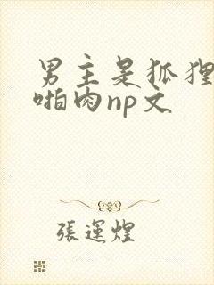 男主是狐狸的h啪肉np文