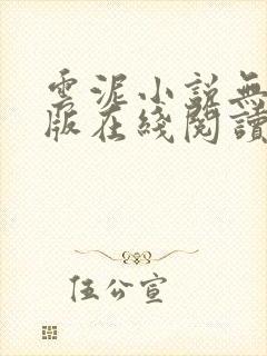 云泥小说无删减版在线阅读封面