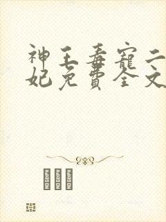 神王毒宠二嫁王妃免费全文阅读