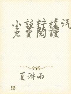 小说柠檬汽水糖免费阅读